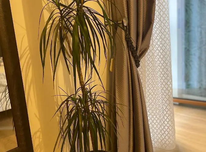 Carducci 83 4* Пескара