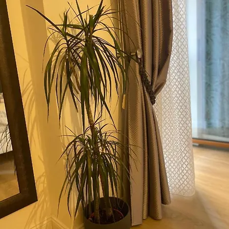 Carducci 83 4* 佩斯卡拉