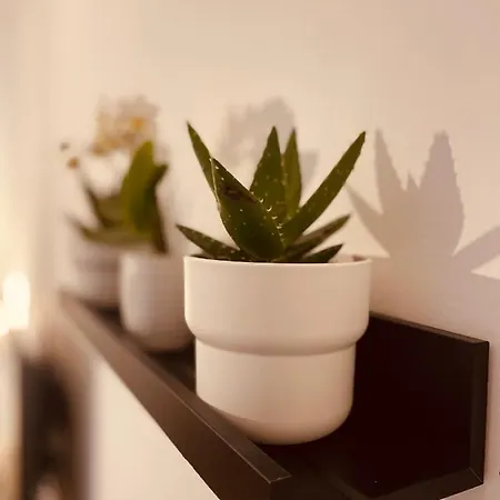 Carducci 83 4* 佩斯卡拉