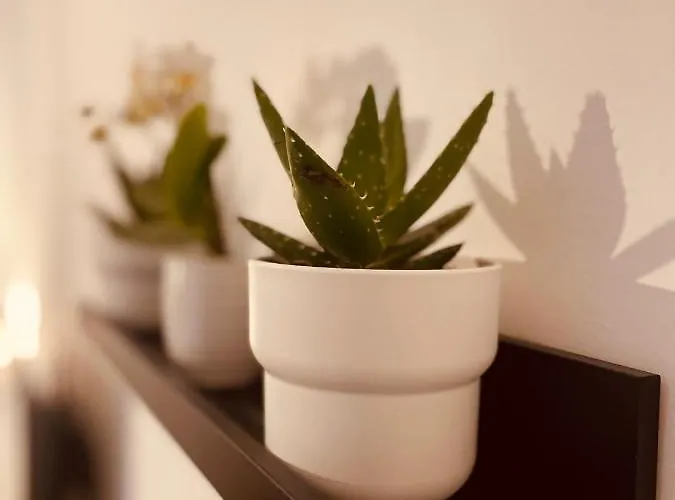 Carducci 83 4* פסקרה